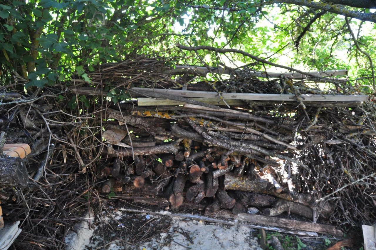 El Jardin De Manuela Villa Santibanez del Val ภายนอก รูปภาพ