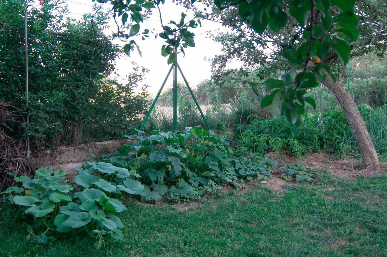 El Jardin De Manuela Villa Santibanez del Val ภายนอก รูปภาพ